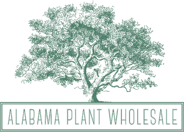 Alabama Plant Wholesale